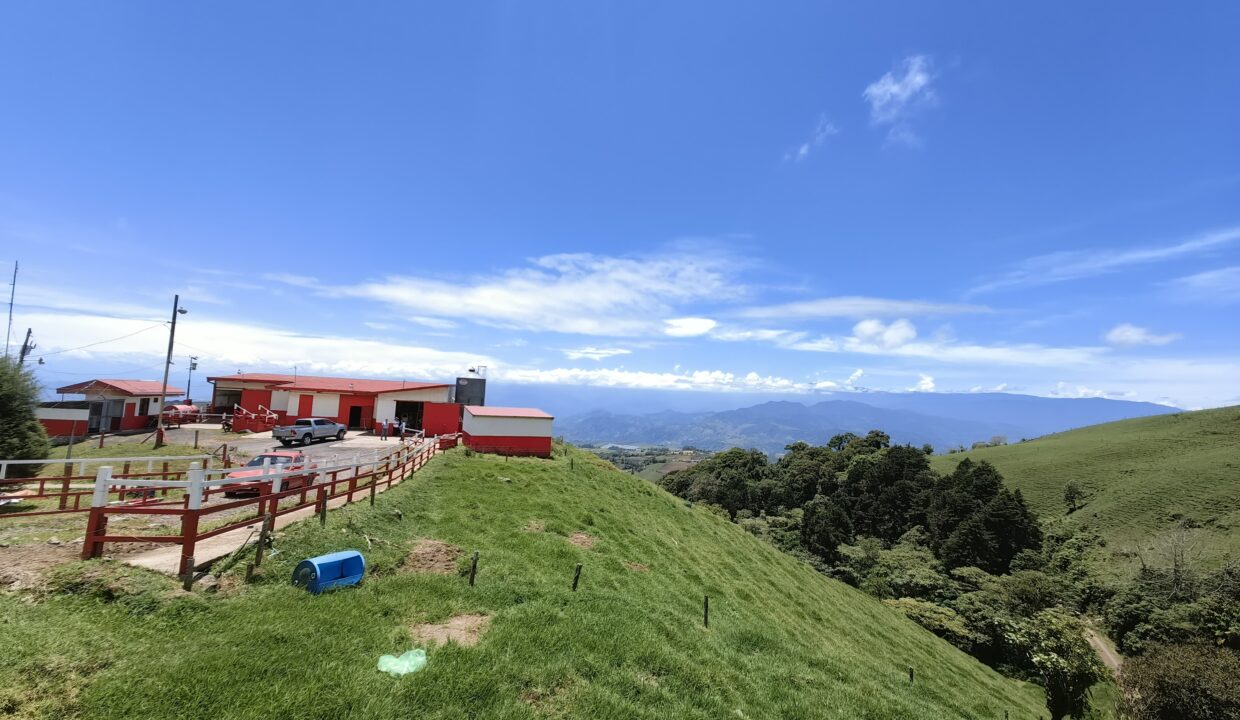 Finca Don Gilberto 2025-05-01 at 14.02.53 (1)