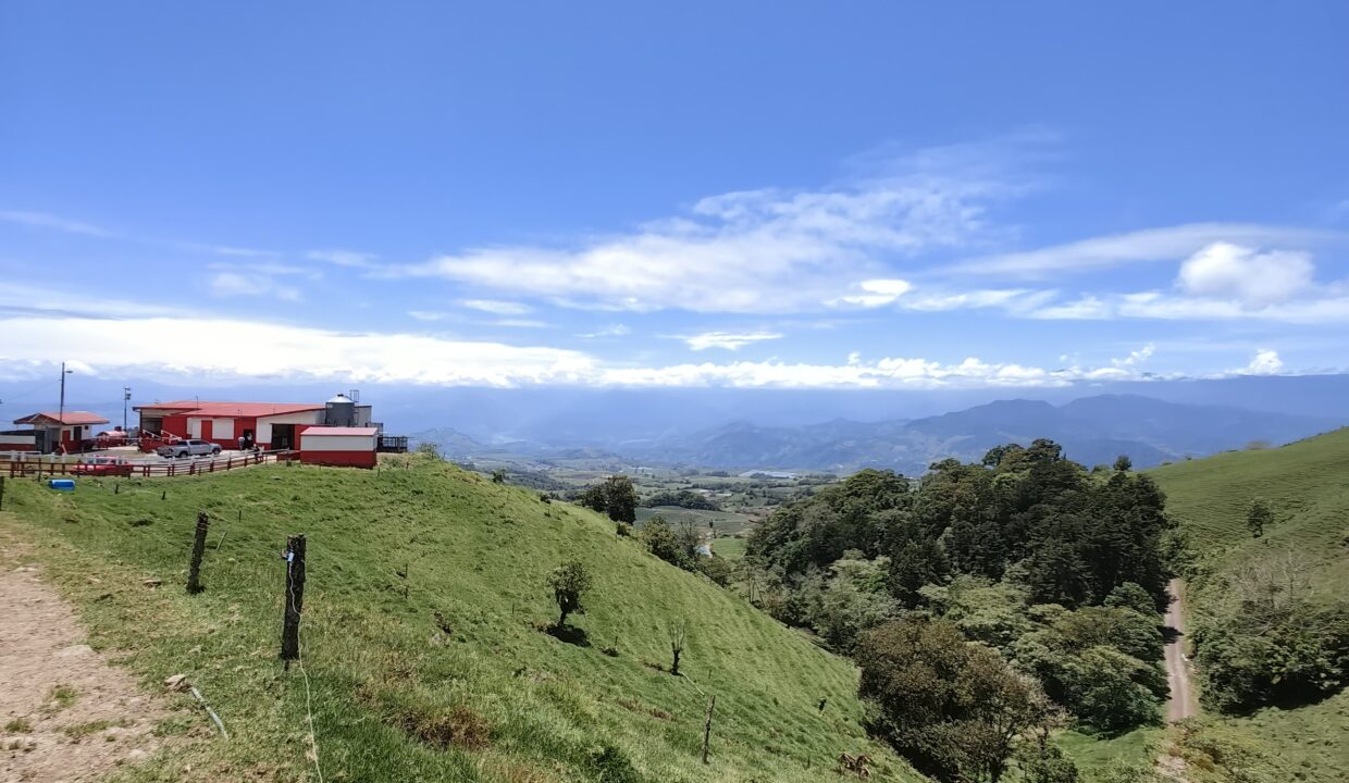 Finca Don Gilberto 2025-05-01 at 14.02.53