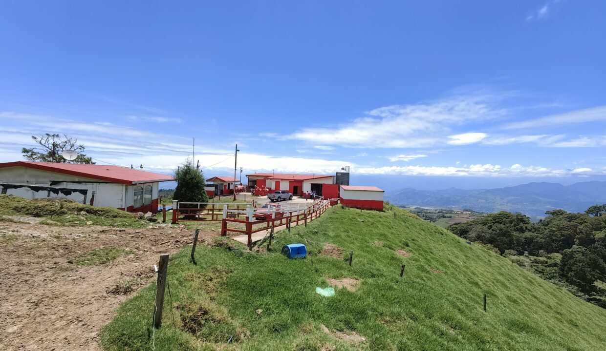 Finca Don Gilberto 2025-05-01 at 14.02.53 (2)