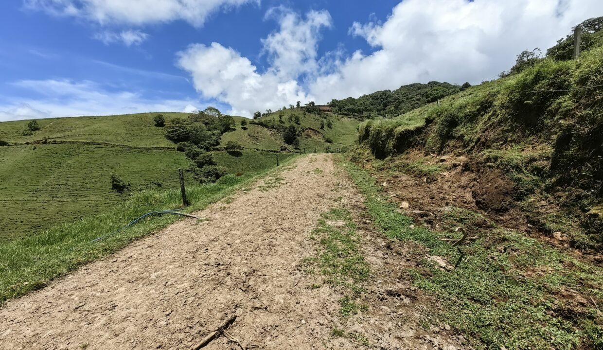 Finca Don Gilberto 2025-05-01 at 14.02.53 (3)