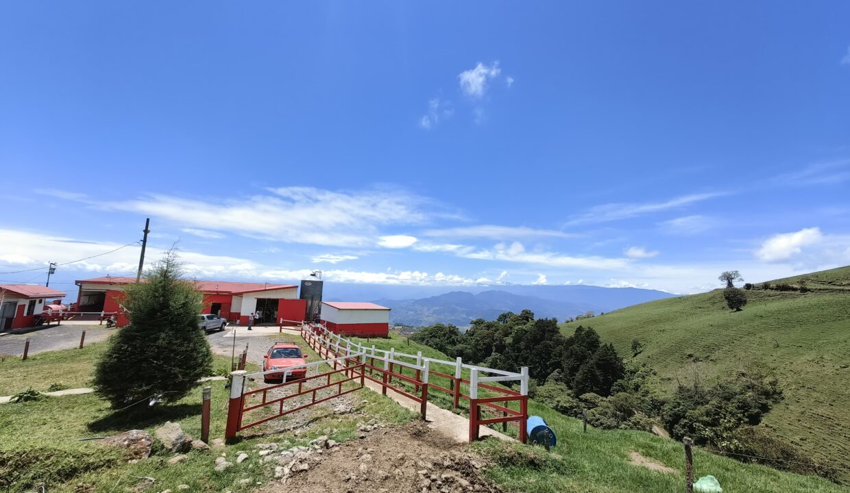 Finca Don Gilberto 2025-05-01 at 14.02.53 (4)
