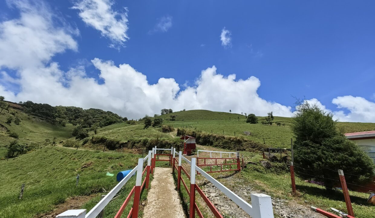 Finca Don Gilberto 2025-05-01 at 14.02.54 (1)